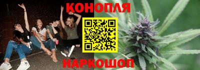 шишки Абинск