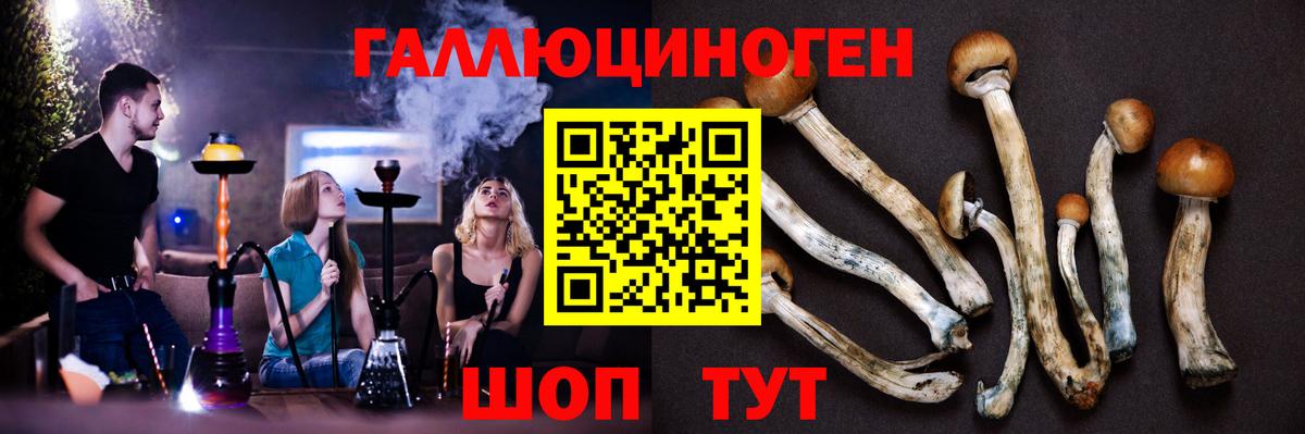 Галлюциногенные грибы мухоморы  купить наркотик  Россия  Вход с VPN 