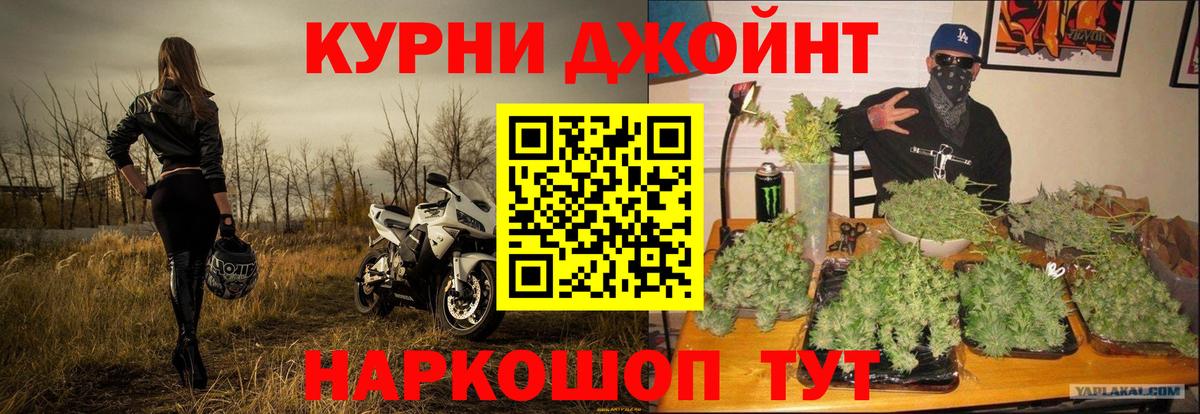 Бошки марихуана гибрид Россия